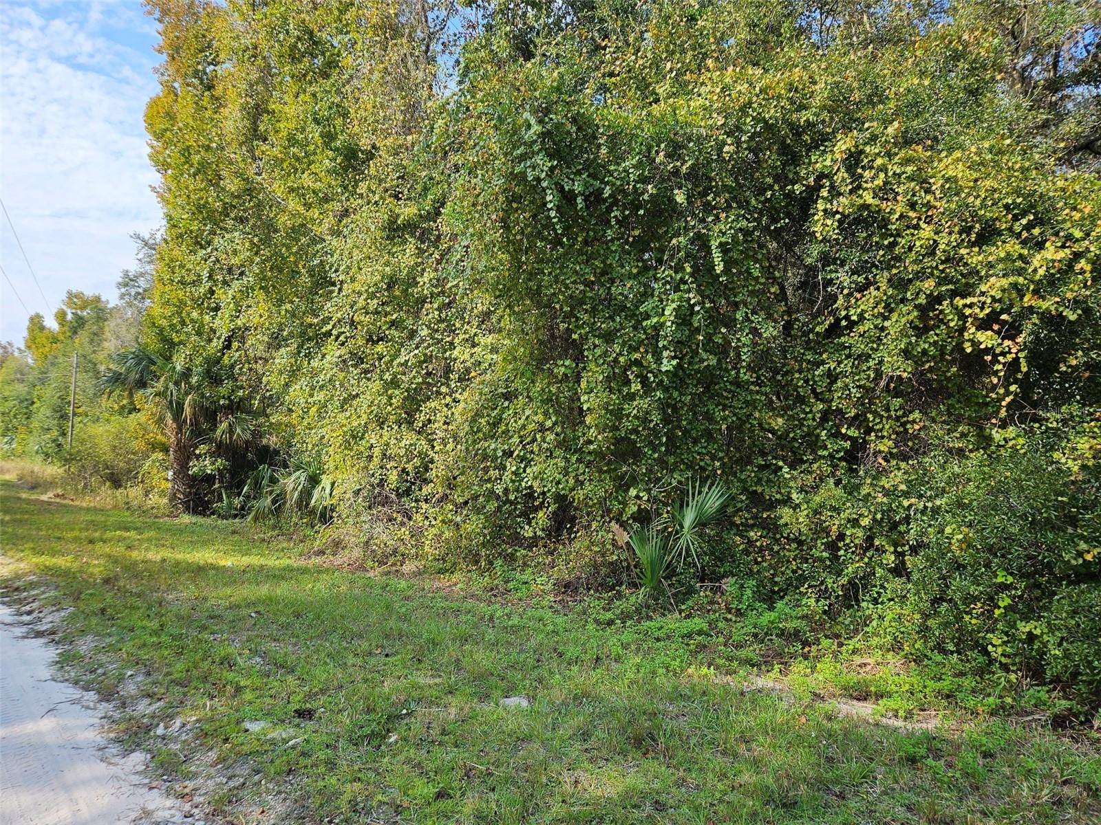 Citra, FL 32113,TBD NE 35TH AVENUE ROAD RD