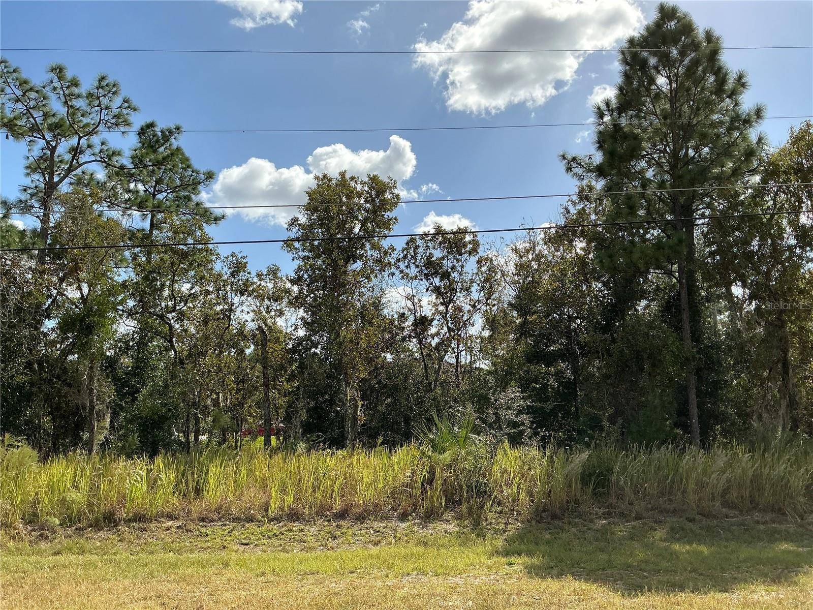 Ocala, FL 34472,HEMLOCK LOOP