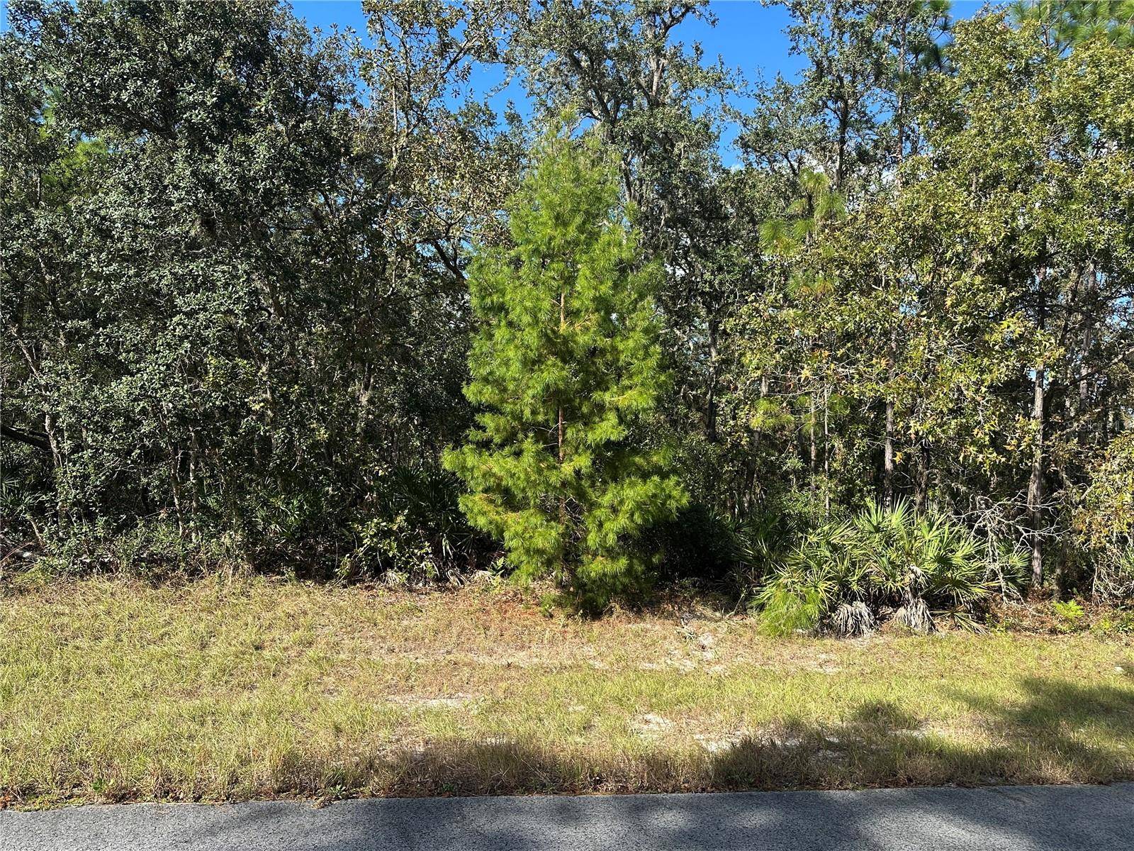 Ocala, FL 34473,0000 174TH ST