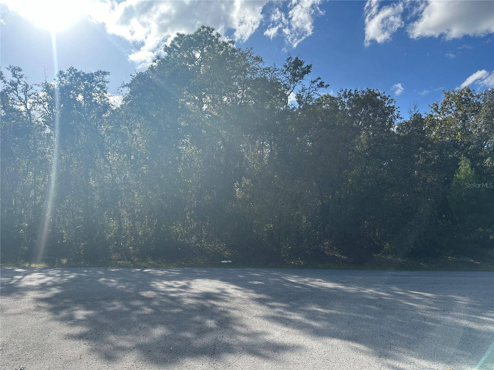 Ocala, FL 34473,0000 SW 57TH AVE