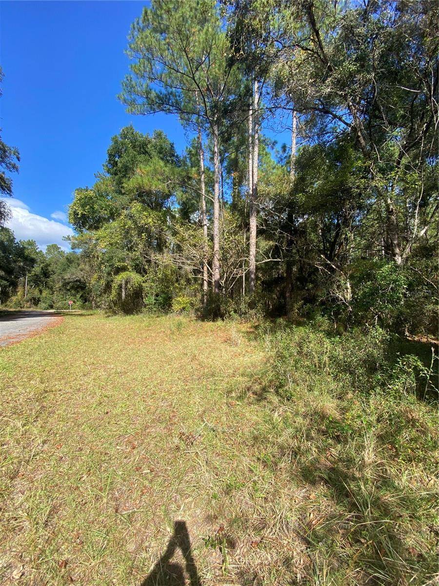 Dunnellon, FL 34434,8887 N QUINTARA PT