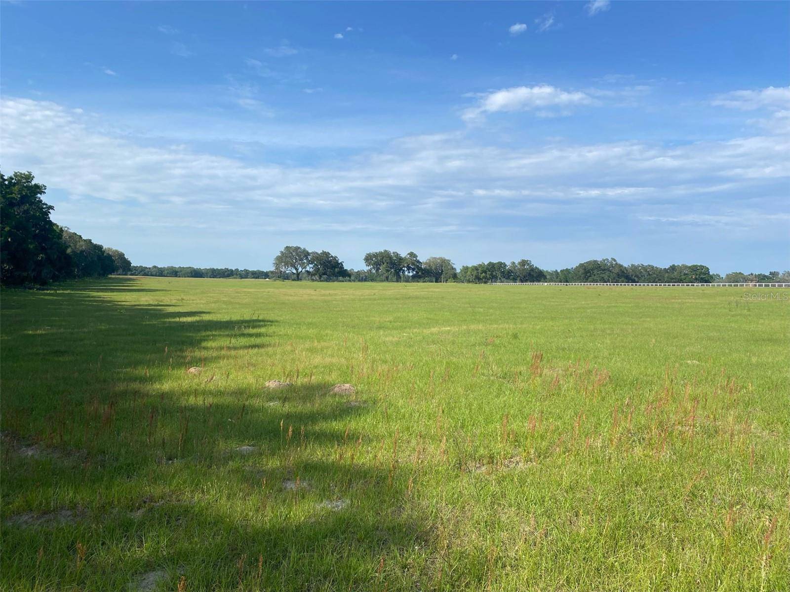 Morriston, FL 32668,0 NW 163 TER