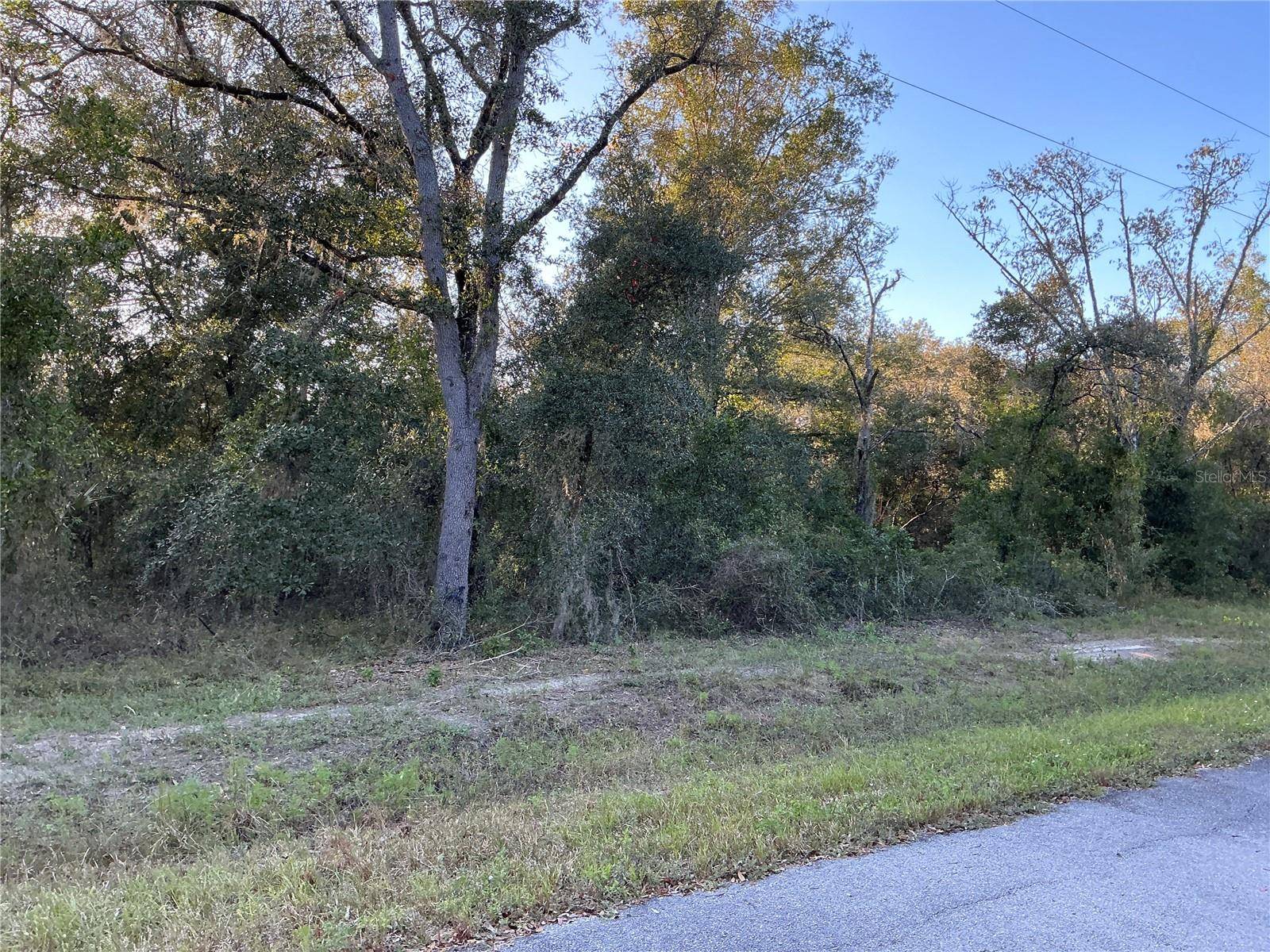 Dunnellon, FL 34431,SW WILLOW RD