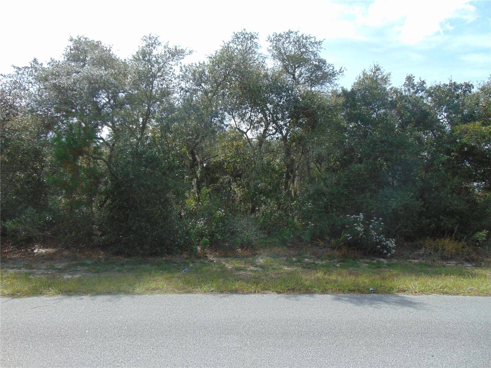 Ocala, FL 34476,00 SW 98TH LN