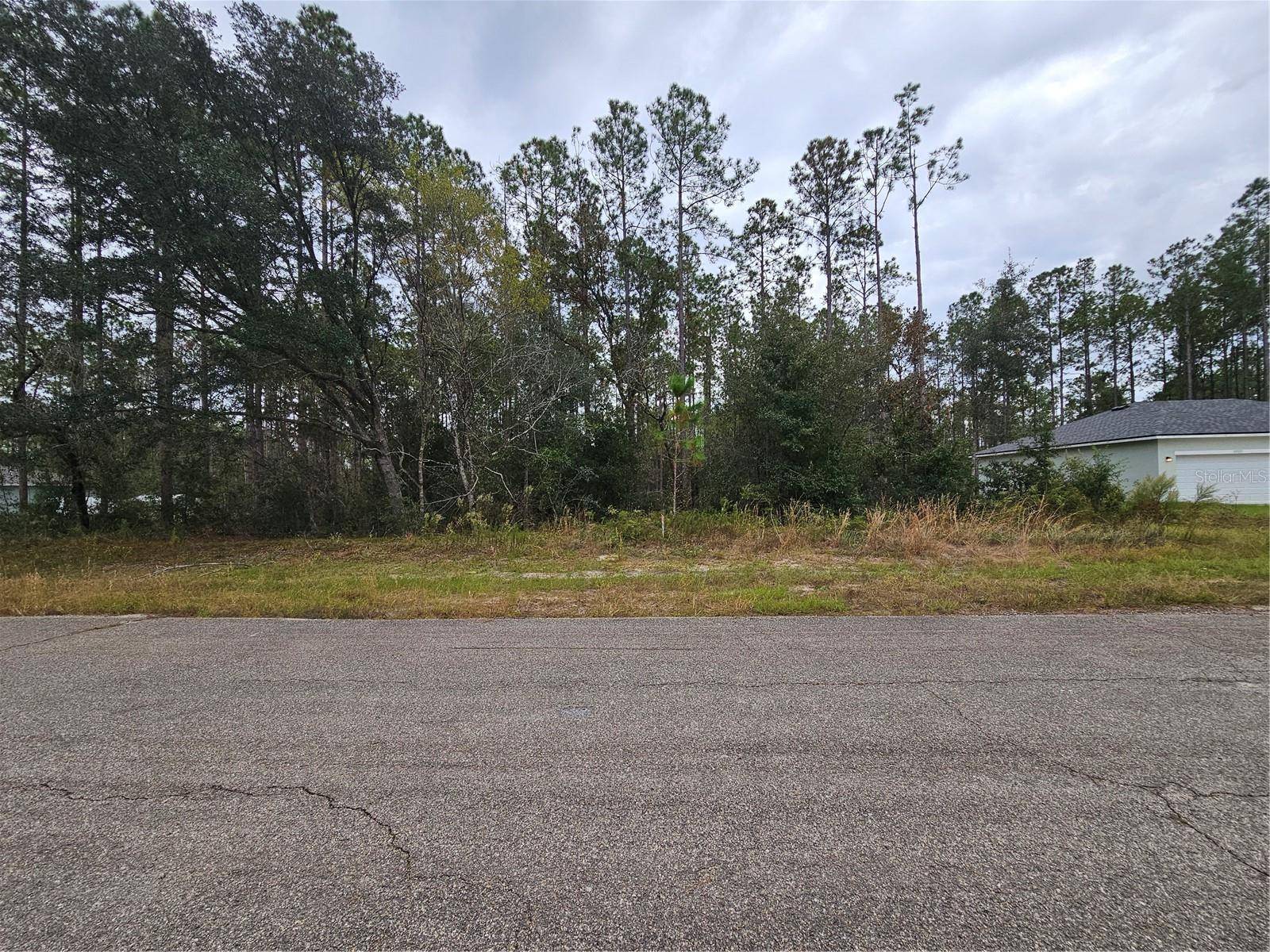 Citrus Springs, FL 34434,10935 N ROBERT DEAN WAY
