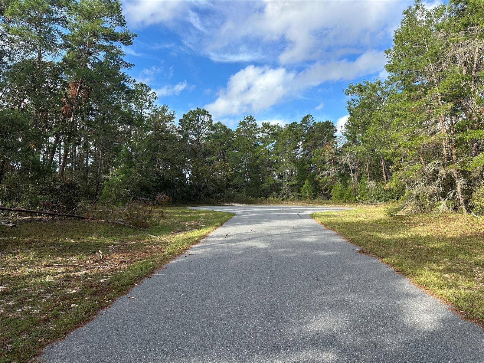 Ocala, FL 34473,0000 SW 32ND CIR