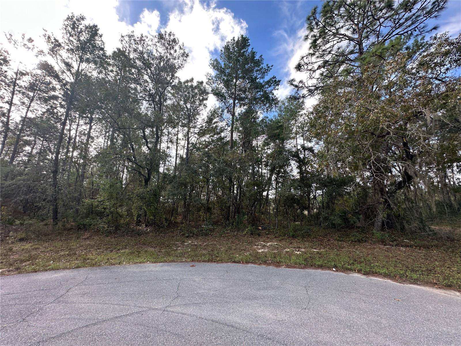 Ocala, FL 34473,0000 SW 32ND CIR