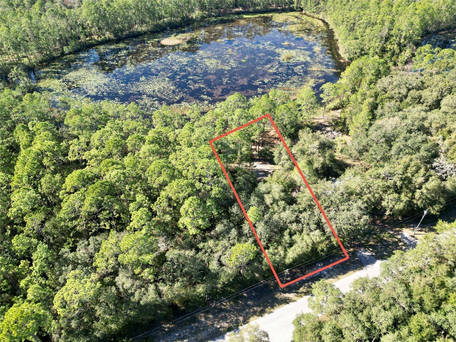 Fort Mc Coy, FL 32134,TBD NE 117TH AVE