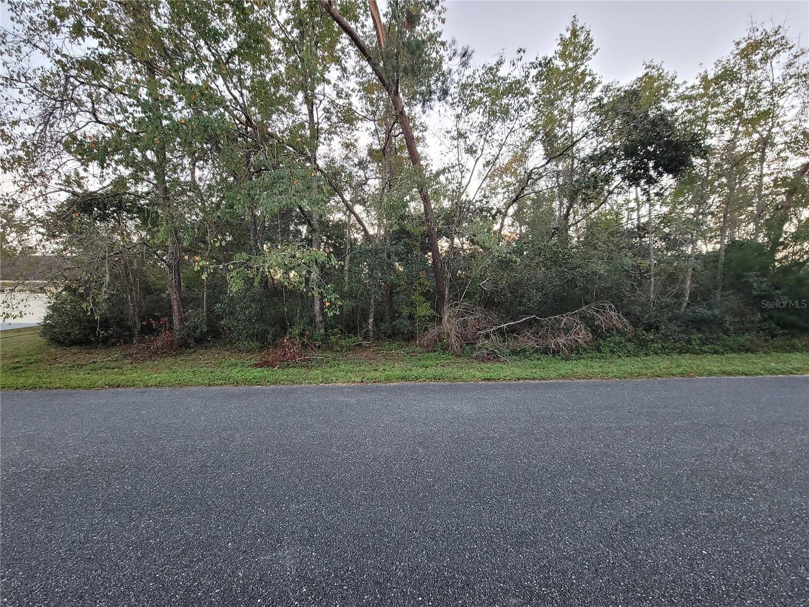 Ocala, FL 34473,Lot 22 SW 156TH LOOP