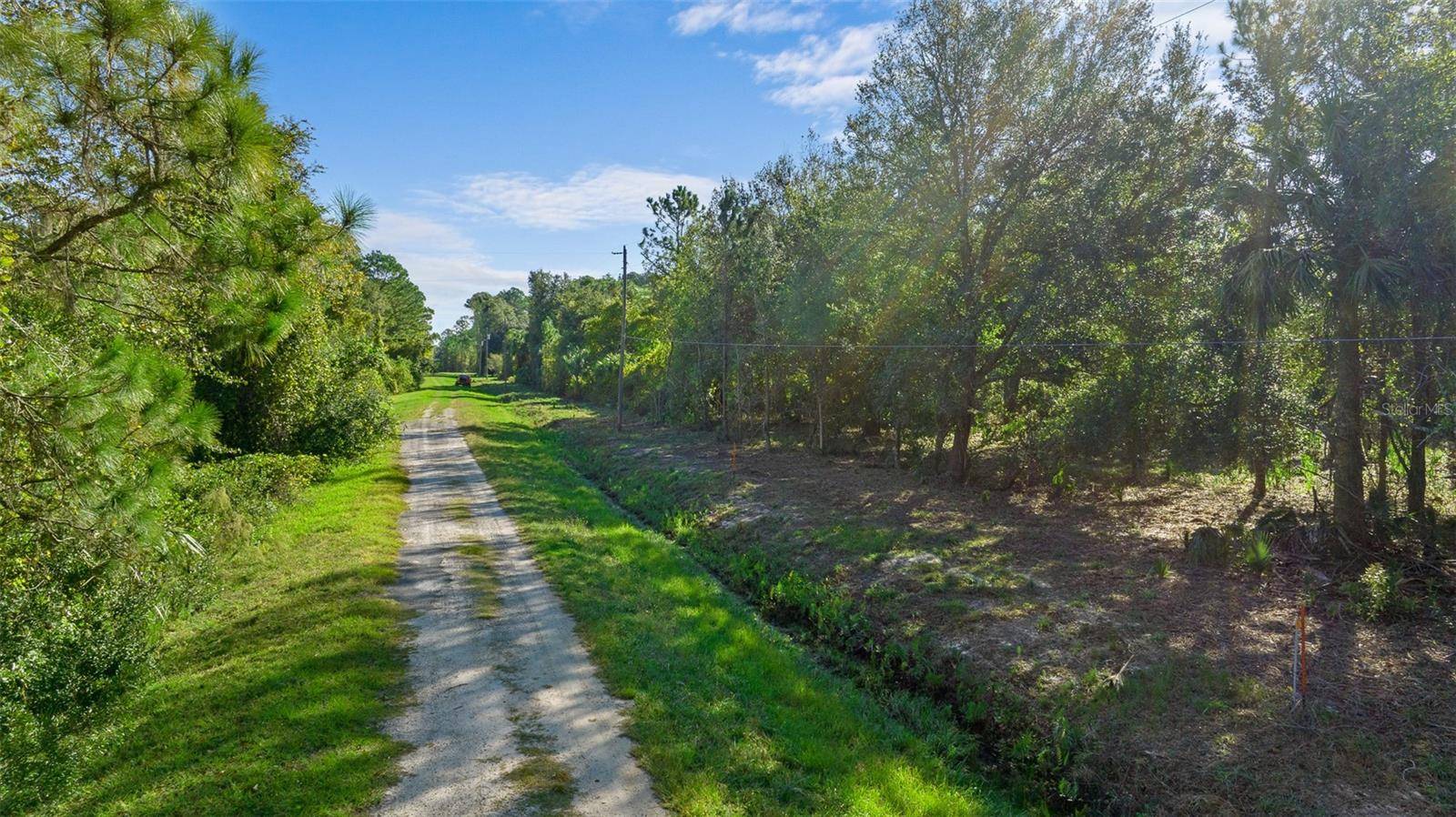 Georgetown, FL 32139,334 BIRCH BLVD