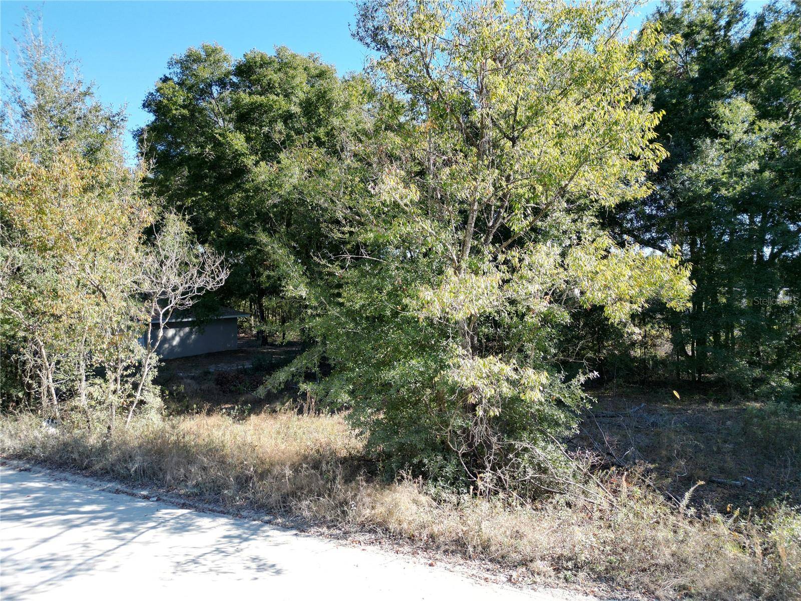Ocala, FL 34482,TBD NW 52ND AVE