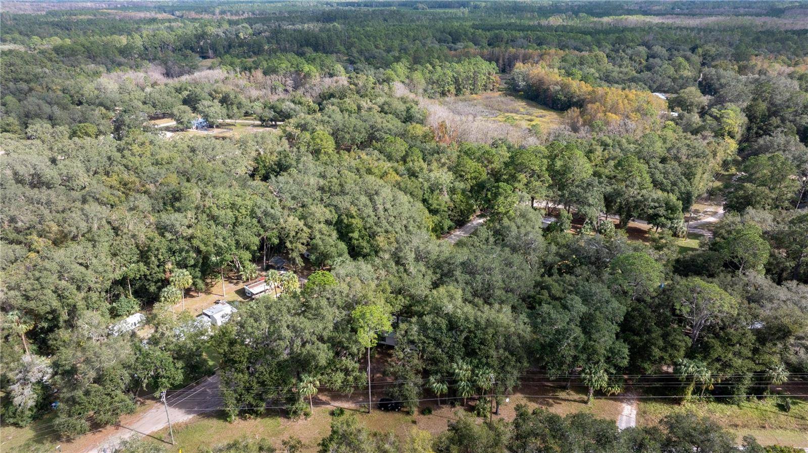 Fort Mc Coy, FL 32134,11600 NE 144TH PL