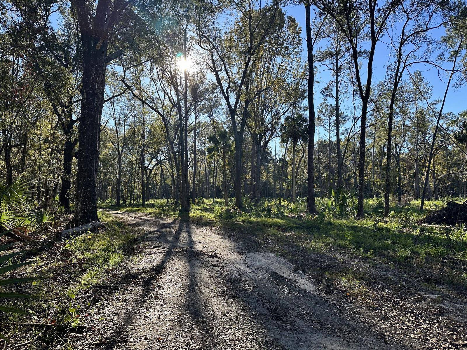 Reddick, FL 32686,260ac NW 193RD ST