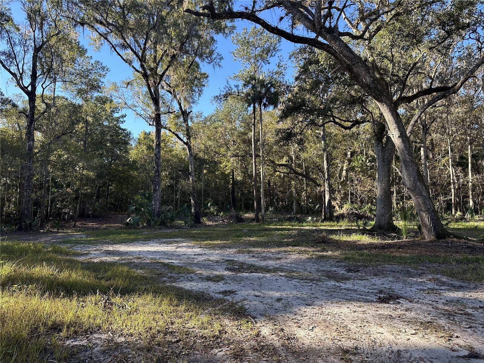 Reddick, FL 32686,260ac NW 193RD ST