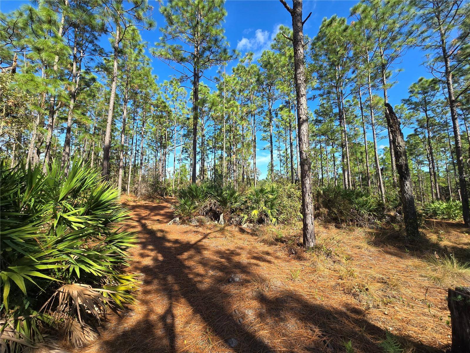 Crystal River, FL 34428,5449 N SMOKEY MOUNTAIN PT