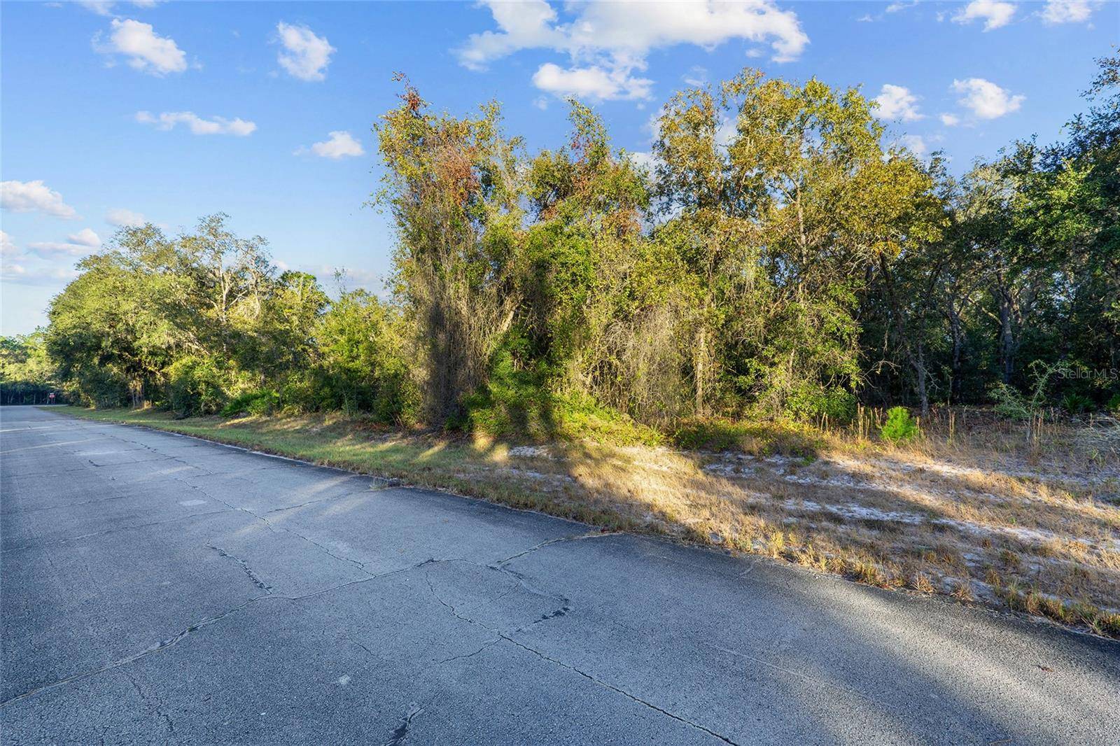 Ocala, FL 34473,TBD SW 174TH PL