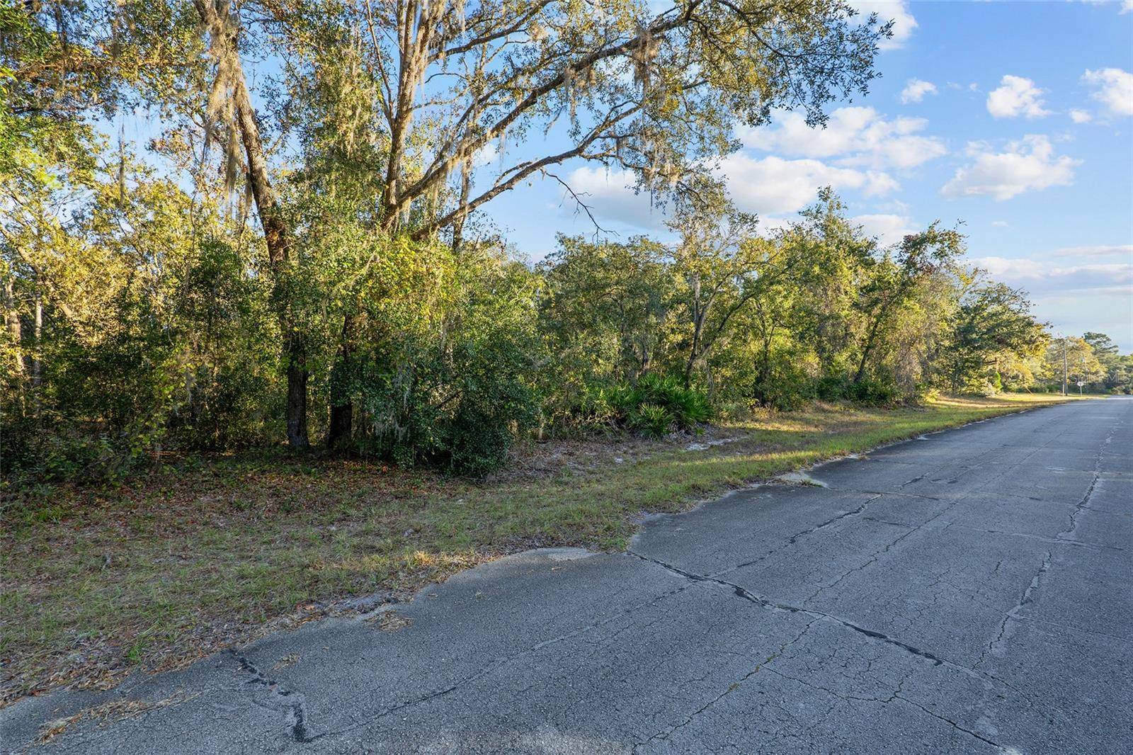 Ocala, FL 34473,TBD SW 174TH PL