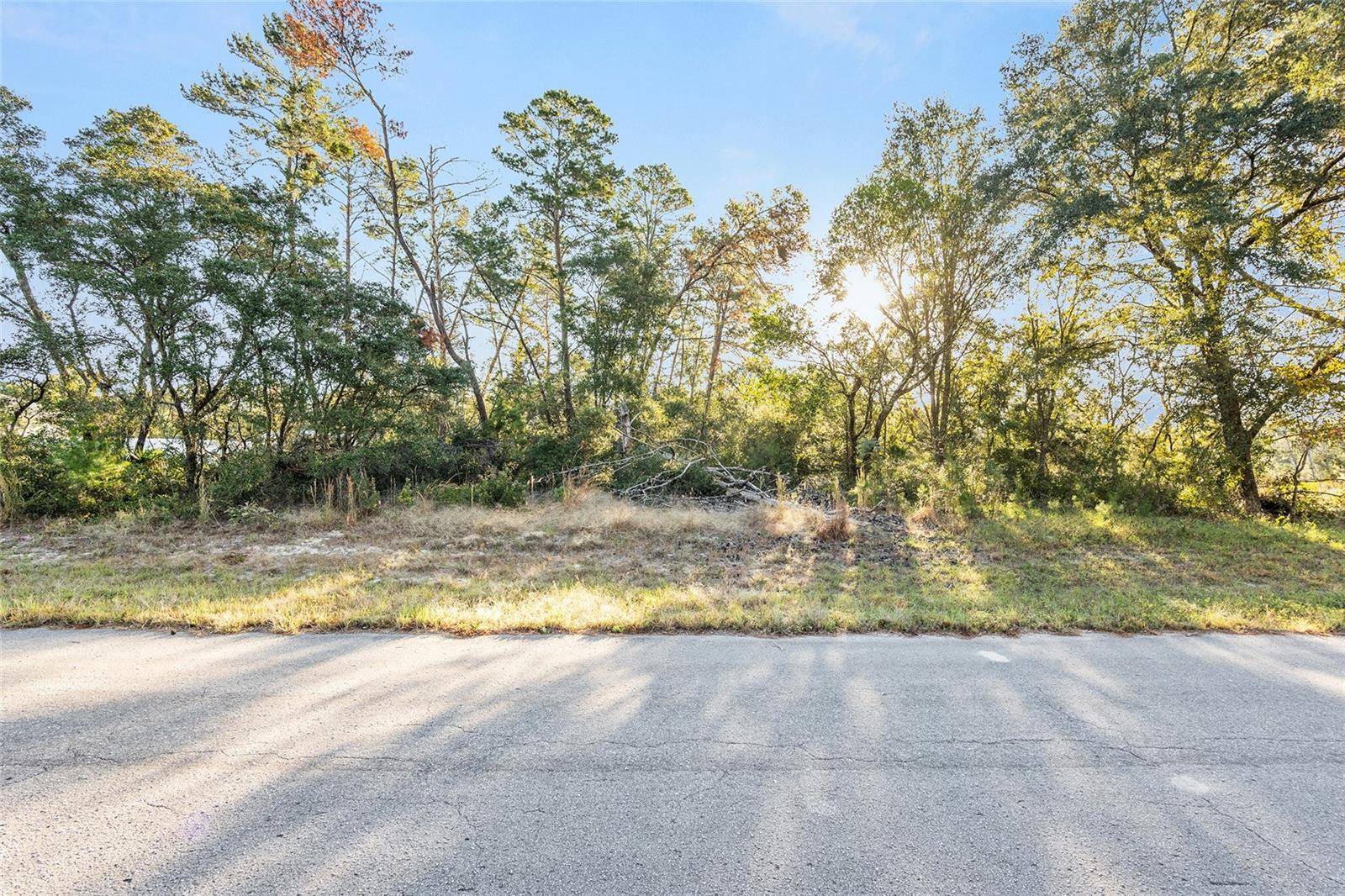 Ocala, FL 34473,TBD SW 31ST CT