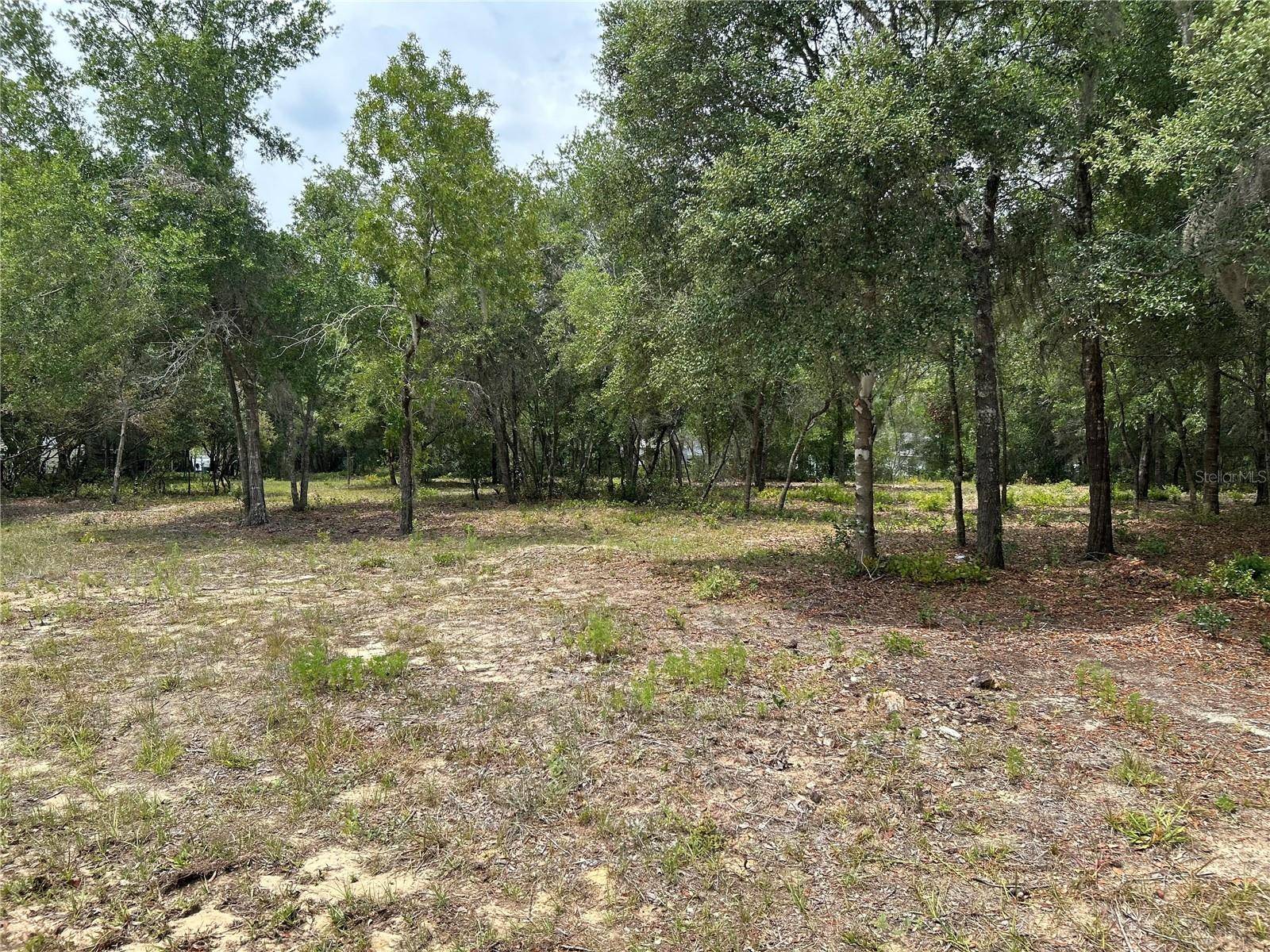Lecanto, FL 34461,787 E SAVOY ST