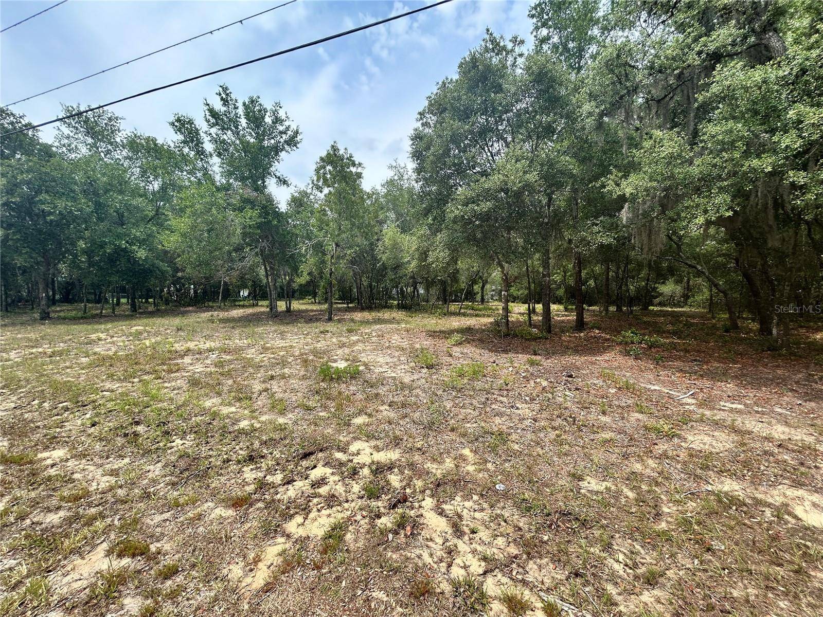Lecanto, FL 34461,787 E SAVOY ST