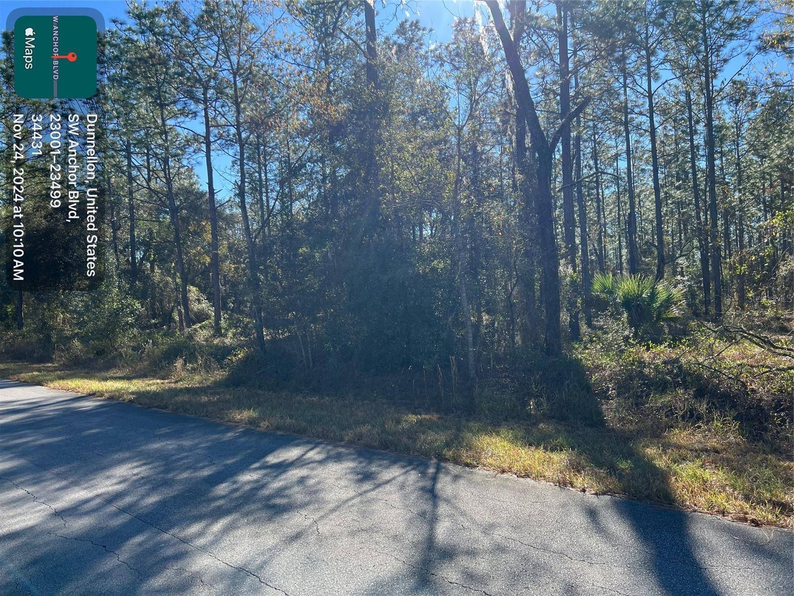 Dunnellon, FL 34431,TBD SW ANCHOR BLVD