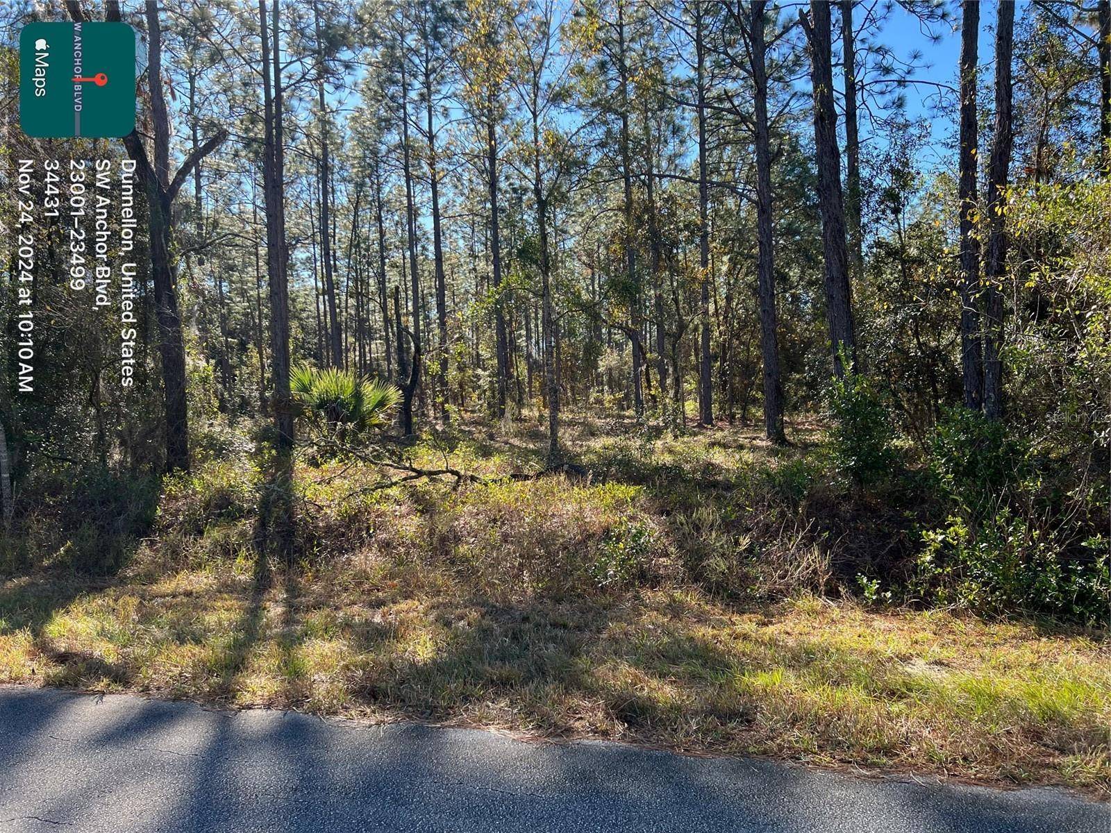 Dunnellon, FL 34431,TBD SW ANCHOR BLVD