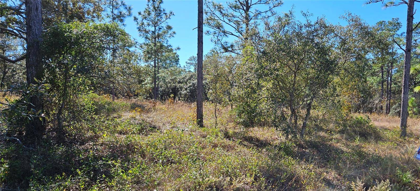 Dunnellon, FL 34431,Lots 34 & 35 SW MANGO LN