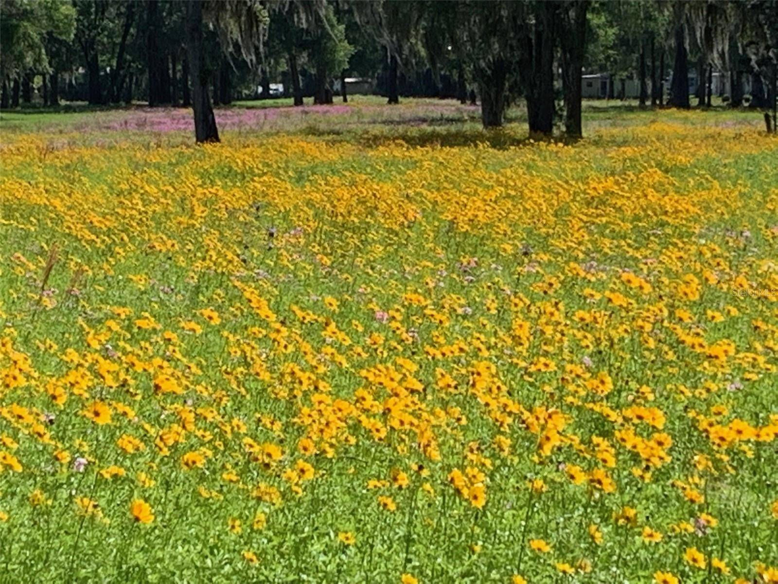 Ocala, FL 34480,10795 SE 25TH AVE