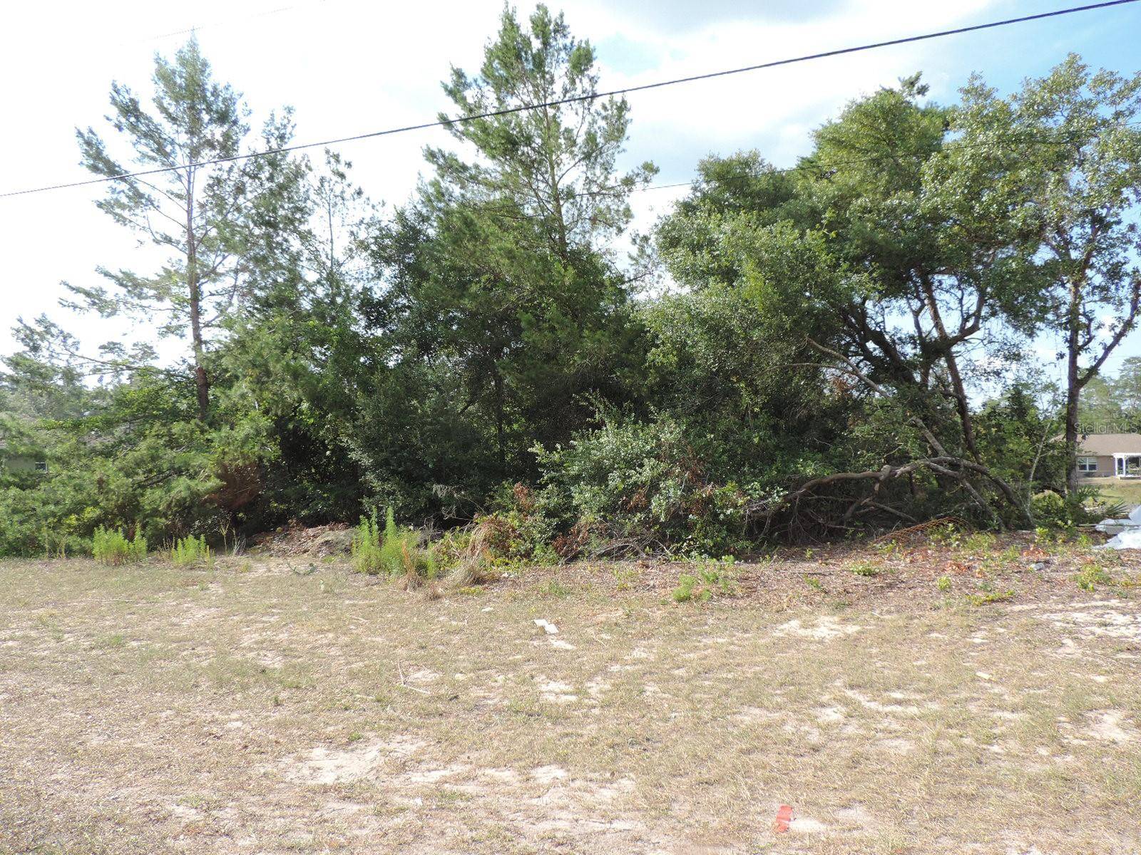 Ocala, FL 34473,TBD SW 159TH LANE RD