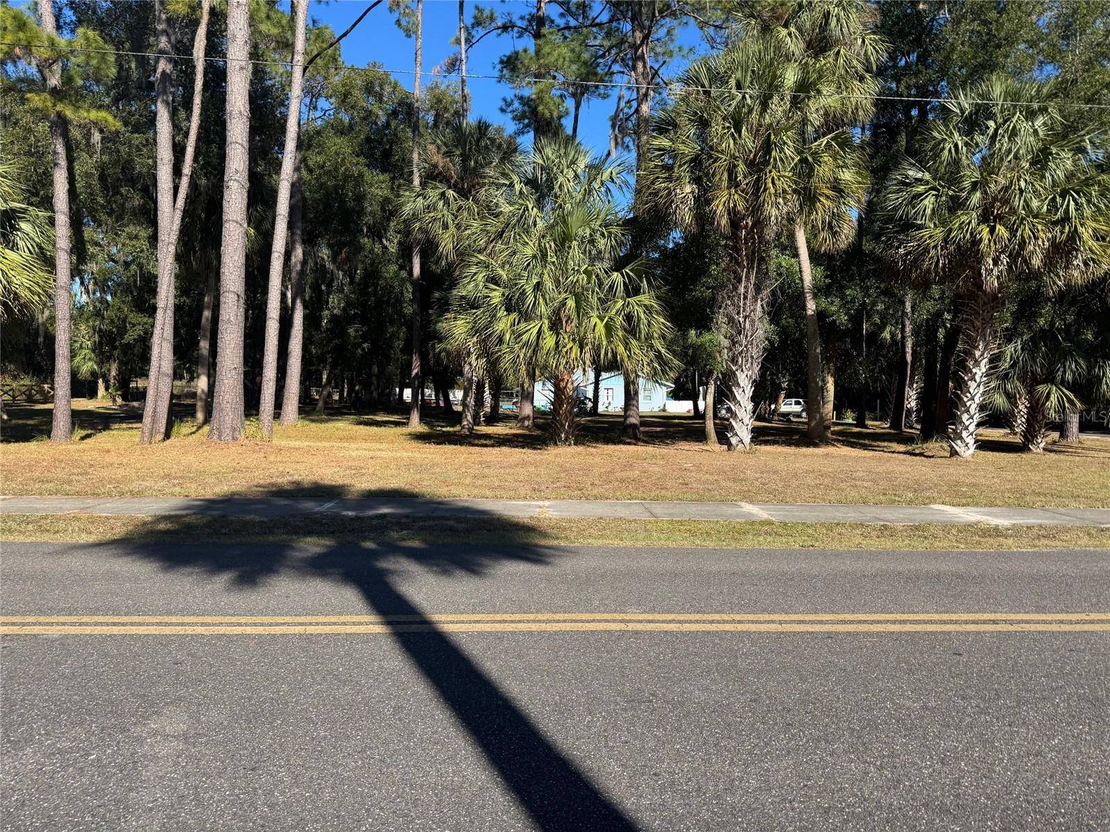 Dunnellon, FL 34431,Lot 3 & 4 ROBINSON RD