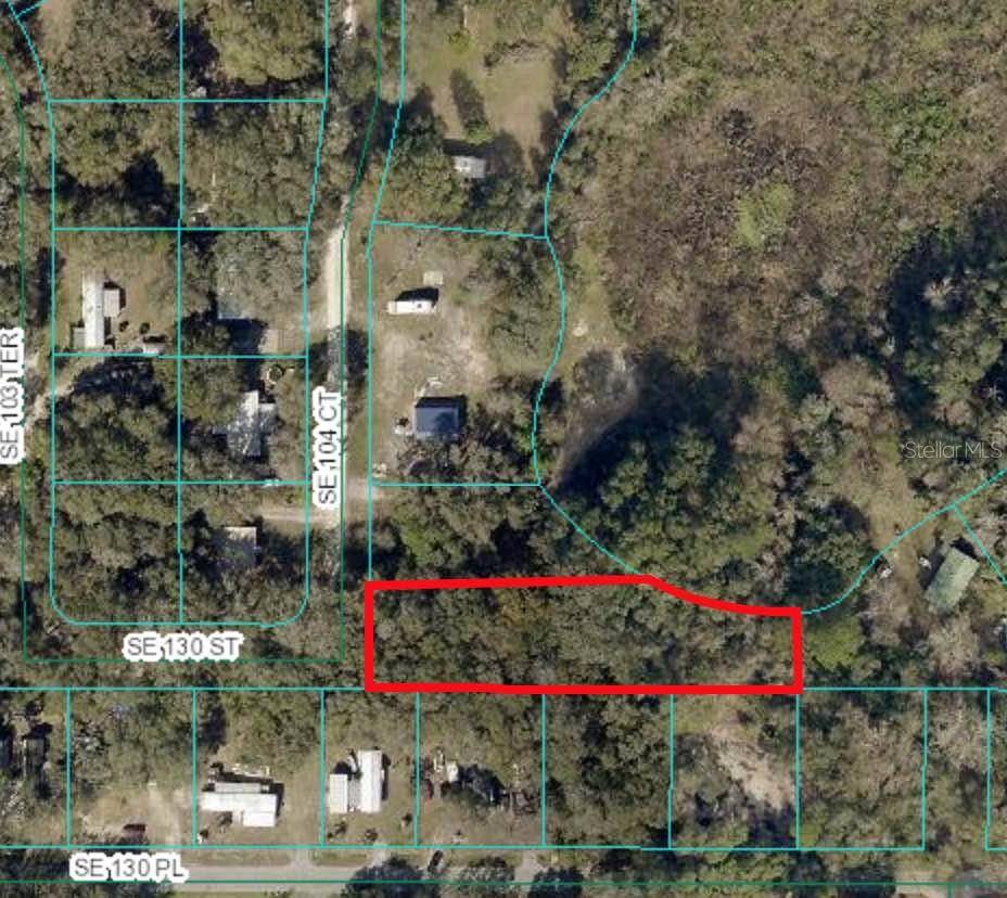 Belleview, FL 34420,0 SE 130 ST