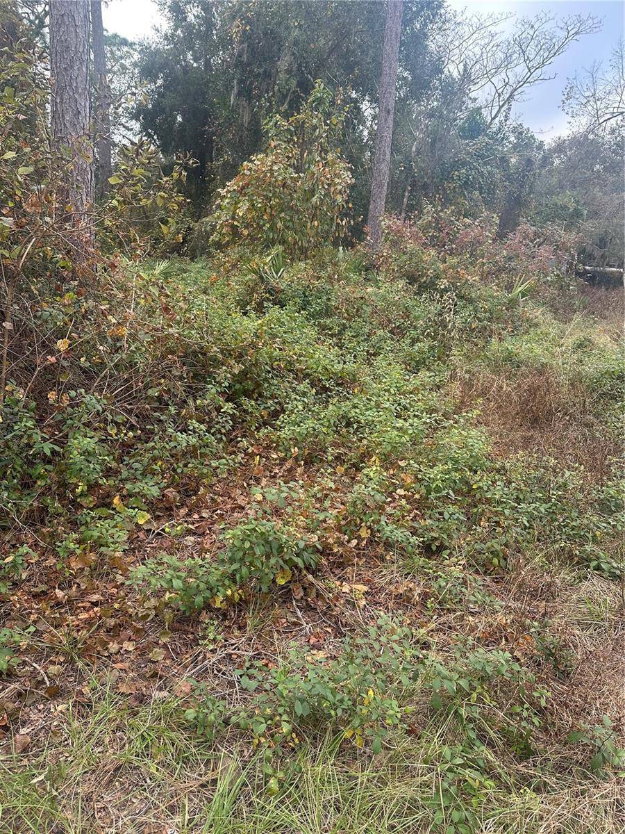 Fort Mc Coy, FL 32134,204TH STREET