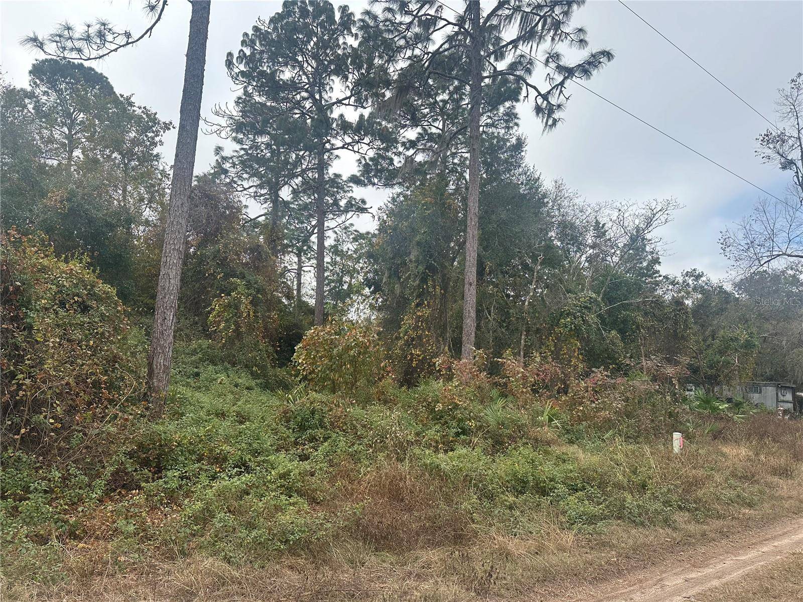 Fort Mc Coy, FL 32134,204TH STREET