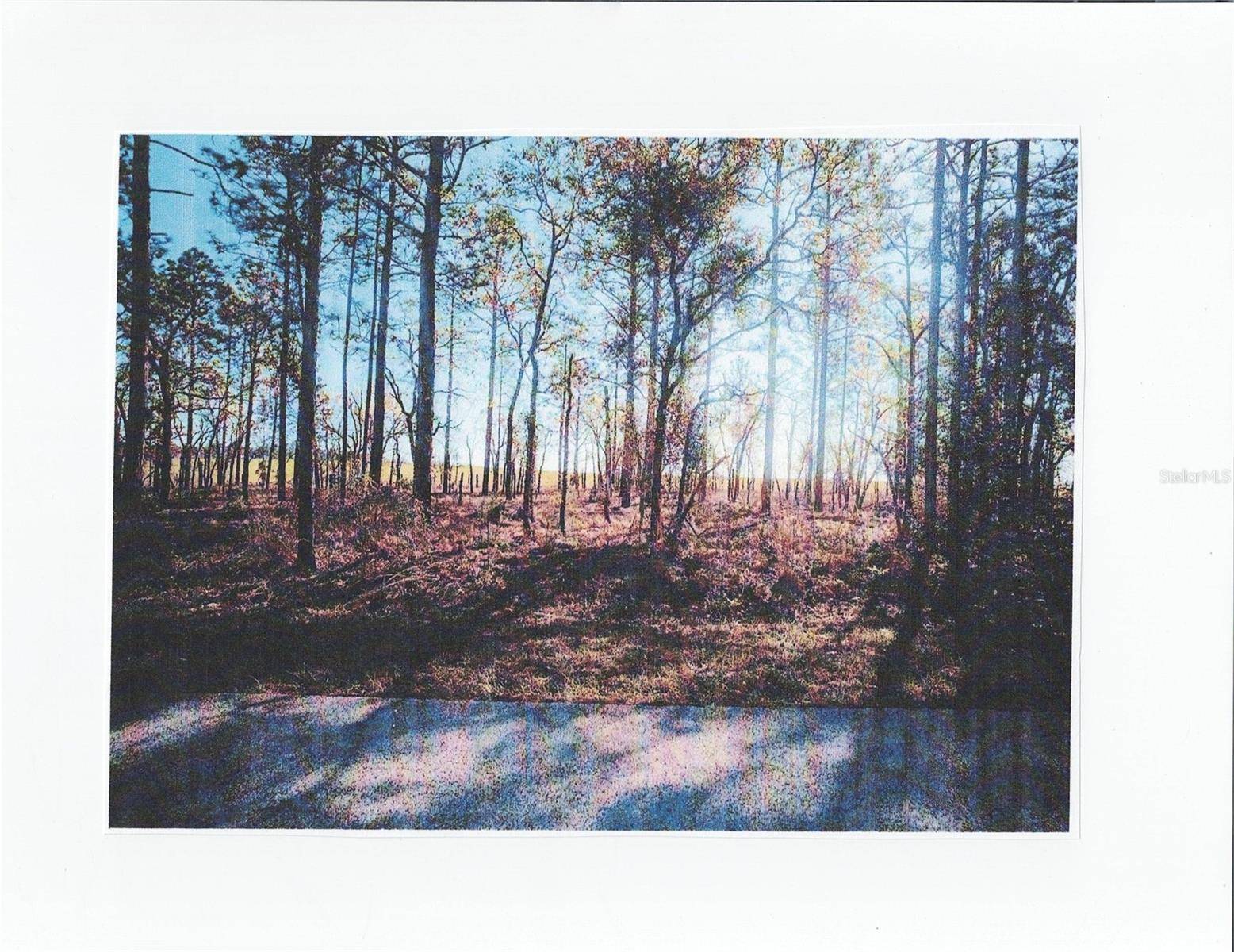 Dunnellon, FL 34431,Blk 35, Lots 25,26 NW BUENA VISTA RD