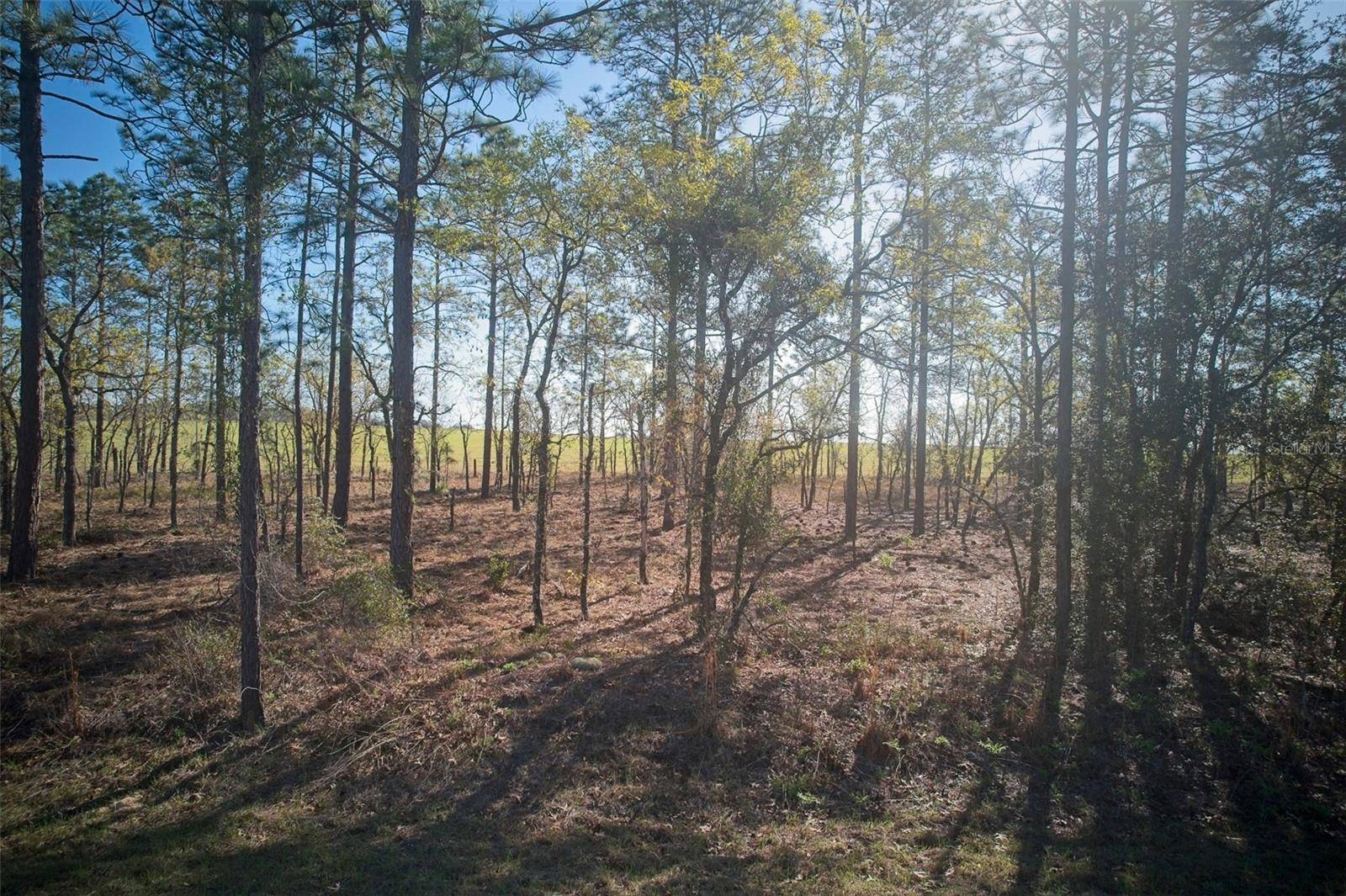 Dunnellon, FL 34431,Blk 35, Lots 25,26 NW BUENA VISTA RD