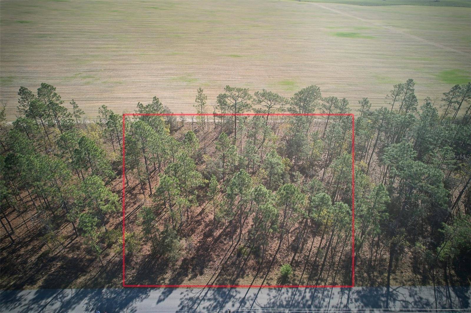 Dunnellon, FL 34431,lot 25,26 NW BUENA VISTA RD