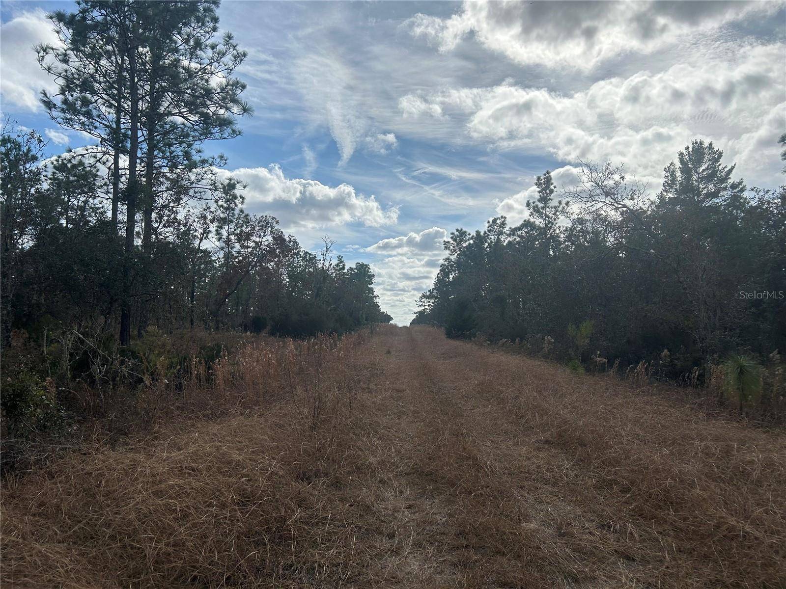 Williston, FL 32696,TBD NE 149TH CT