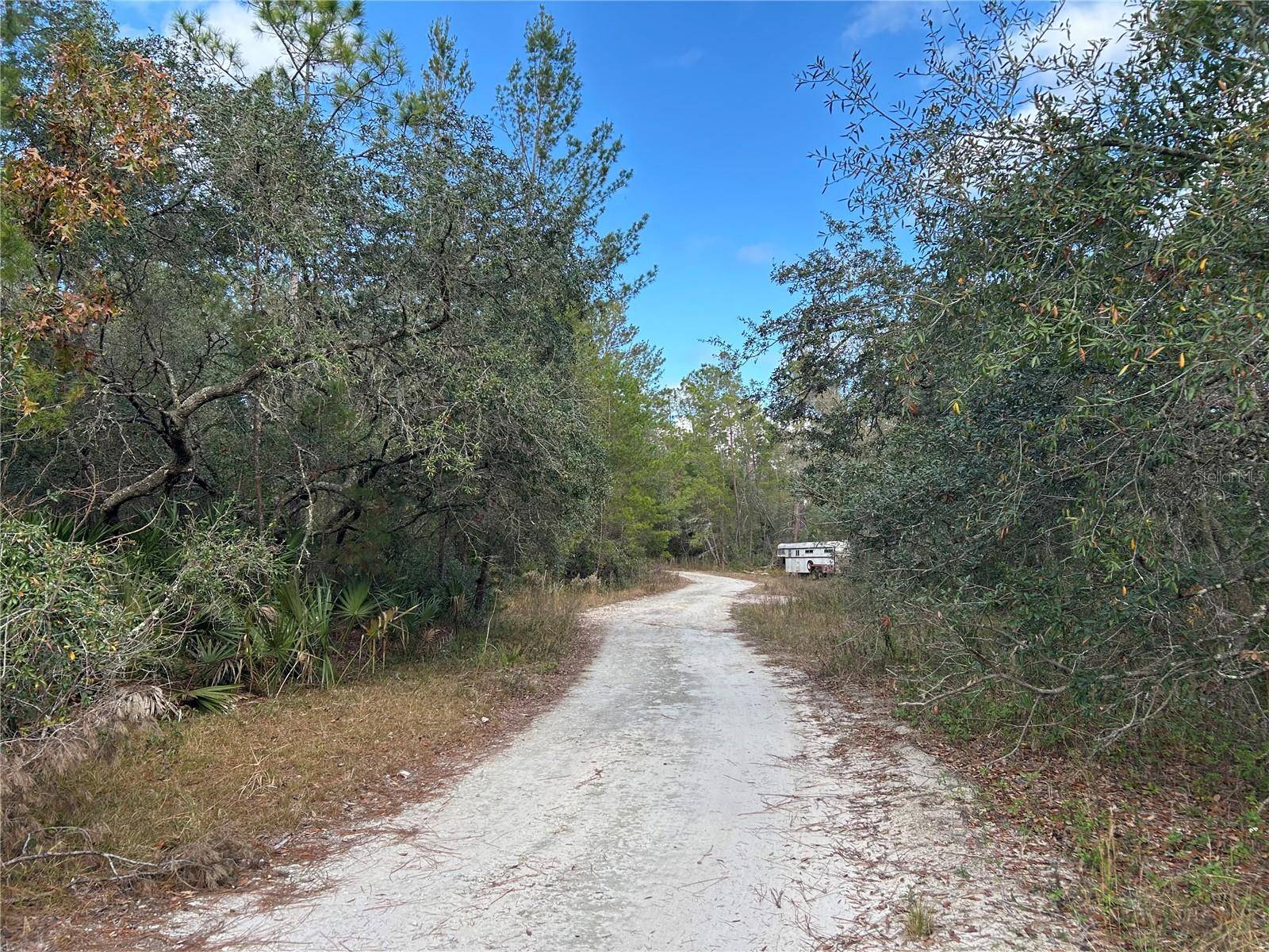 Fort Mc Coy, FL 32134,TBD NE 236 PL