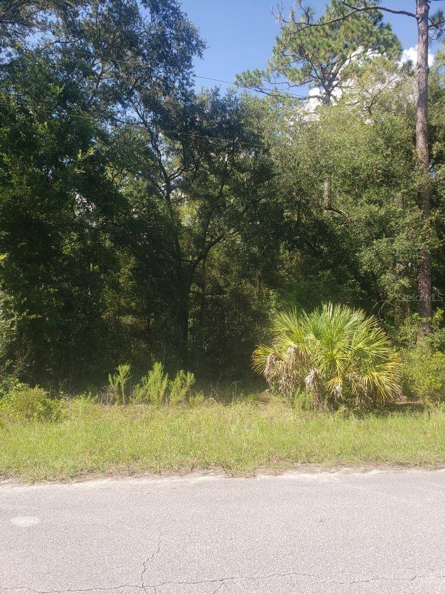 Dunnellon, FL 34433,2949 W GRAPEVINE CT