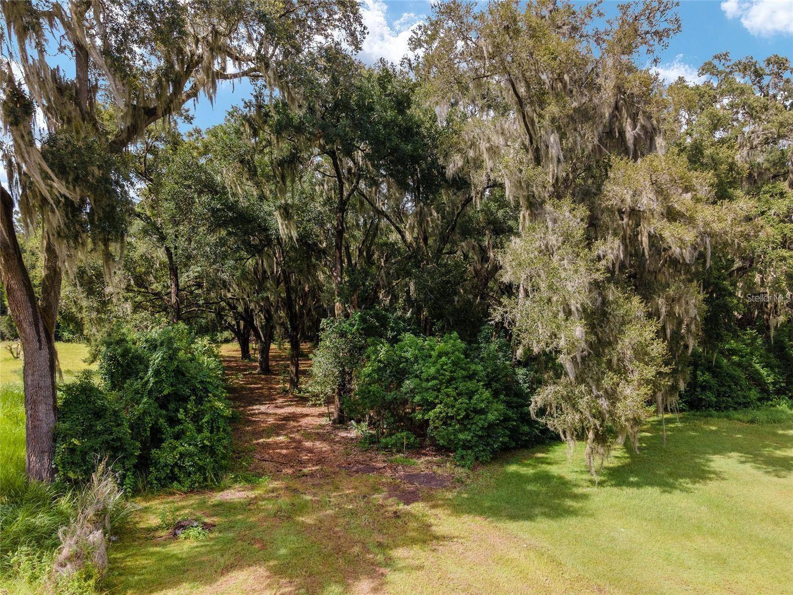 Ocklawaha, FL 32179,TBD SE 122ND PLACE