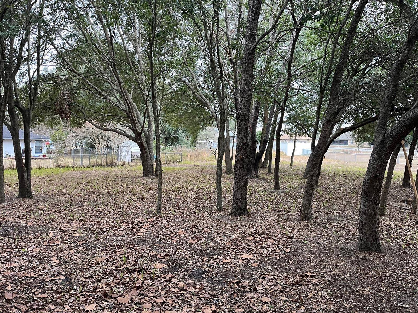 Ocala, FL 34472,Lot 30 HEMLOCK RADIAL CT