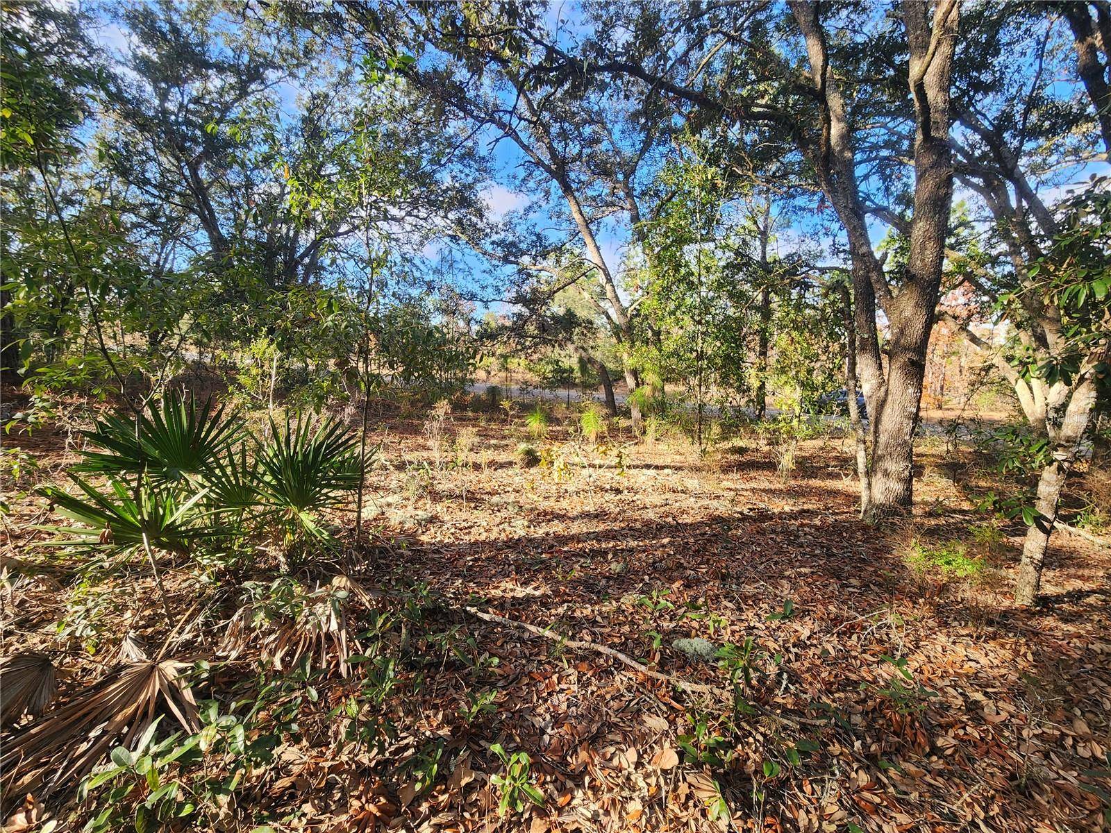 Citrus Springs, FL 34434,2176 W CONWAY DR