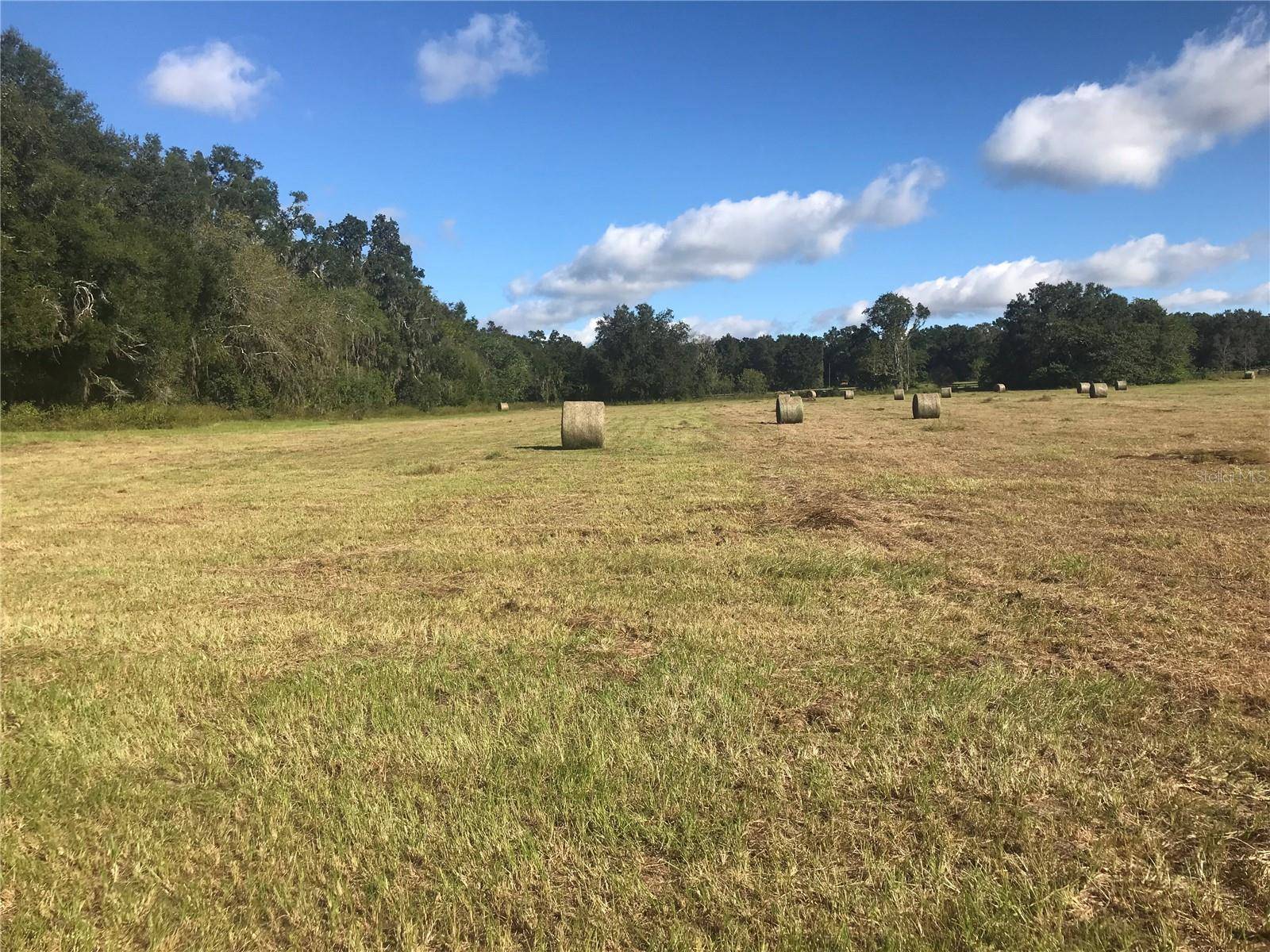 Reddick, FL 32686,32ND COURT
