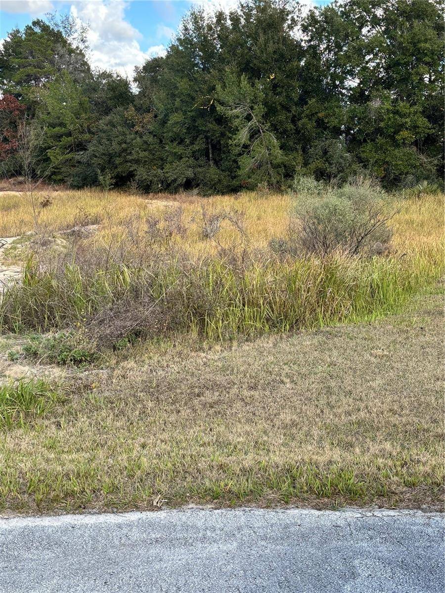 Ocala, FL 34476,0 SW 37TH TER