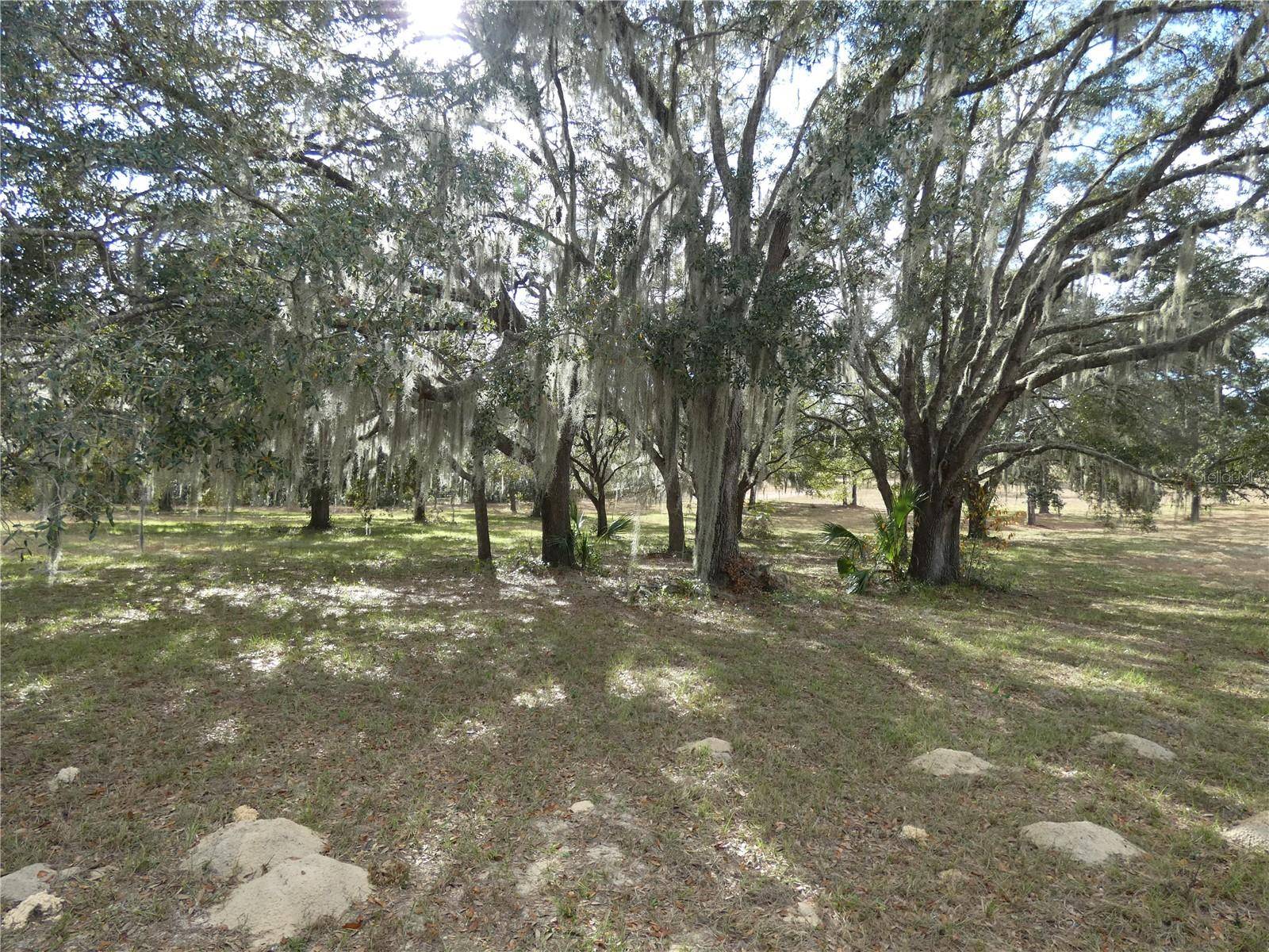 Dunnellon, FL 34433,10887 N CIRCLE M AVE