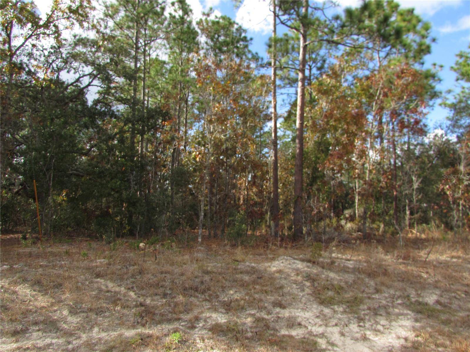 Ocala, FL 34481,Lot 5 & 6 SW 168 CIR