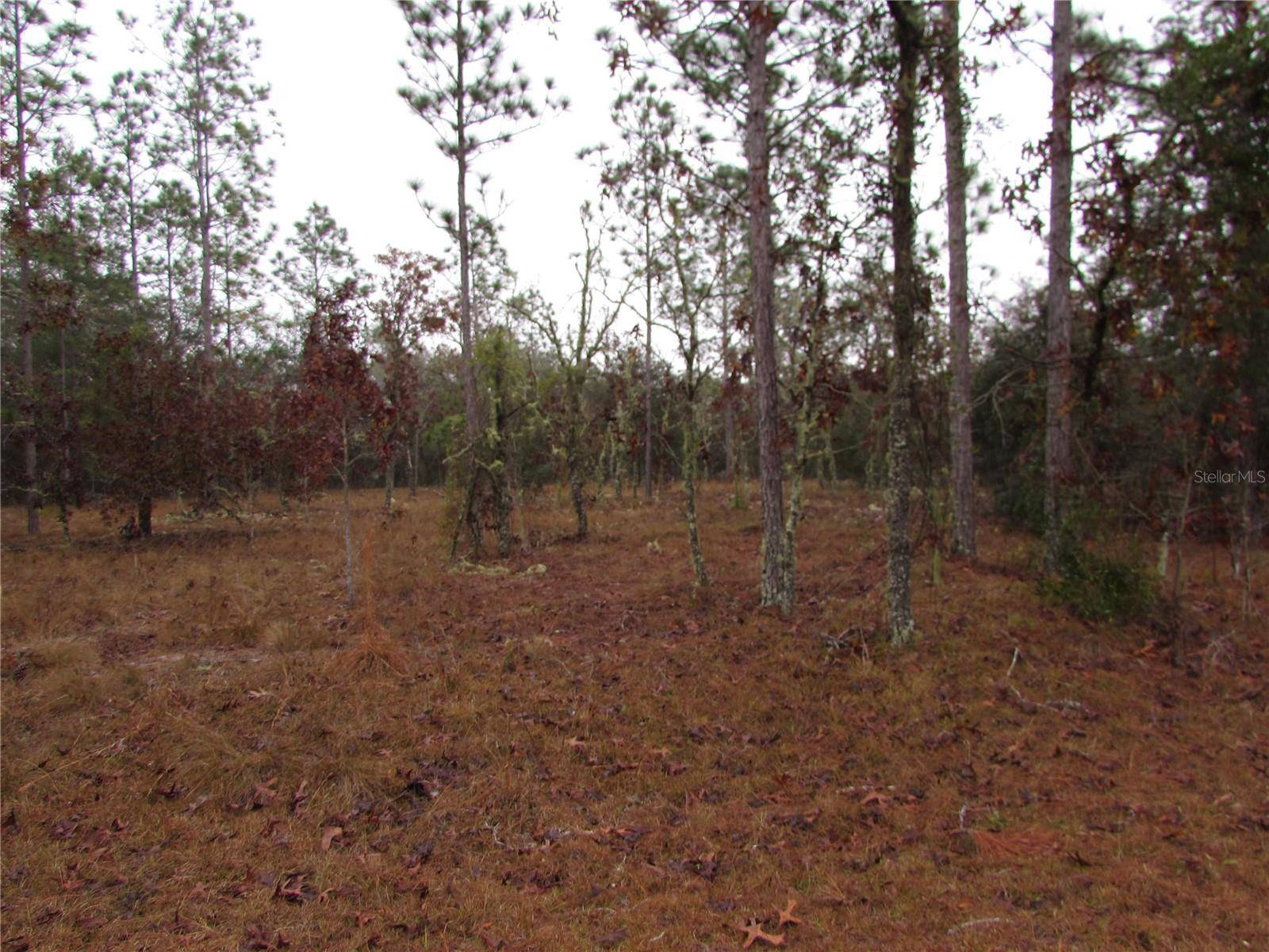 Dunnellon, FL 34431,Lot 57 SE 131 TER