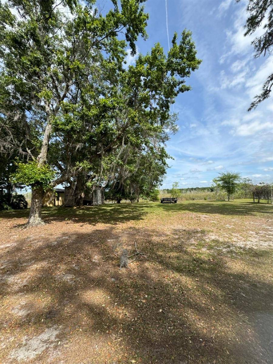 Salt Springs, FL 32134,NE 135TH LN