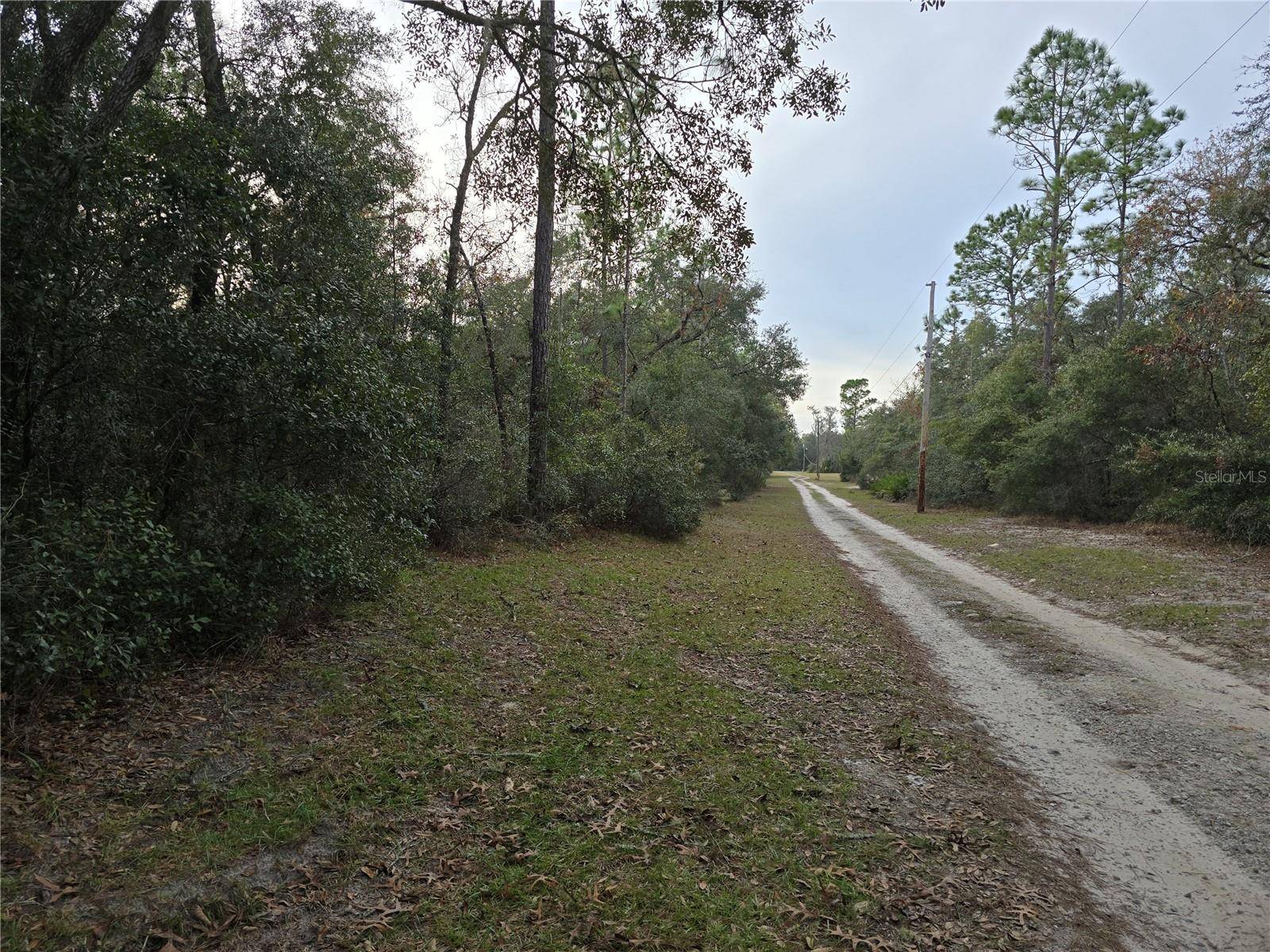 Dunnellon, FL 34432,0 SW 152 PL