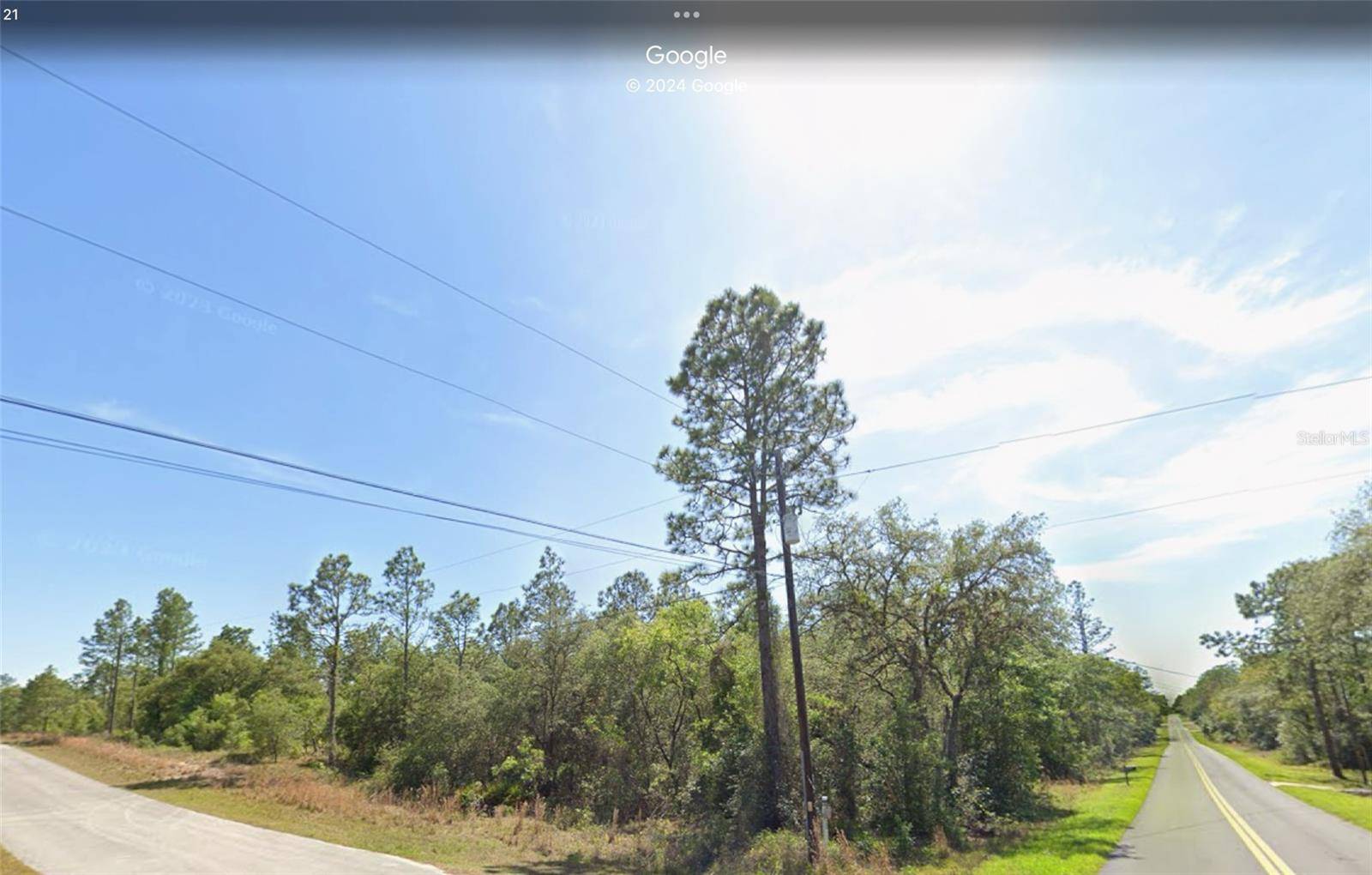 Dunnellon, FL 34431,0 VIOLA CT